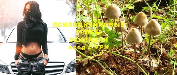 PSILOCYBIN Богородск