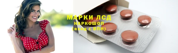 PSILOCYBIN Богородск