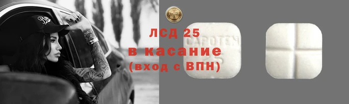 PSILOCYBIN Богородск
